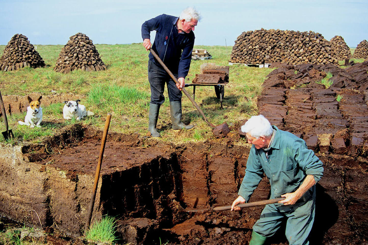 Khai thác than bùn ở Scotland bằng phương pháp cắt thủ công