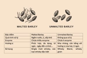 So sánh sự khác biệt giữa Malted Barley và Unmalted Barley