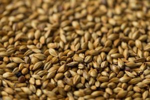 Crystal malt có thể mang lại hương vị caramel và kẹo bơ cứng cho rượu whisky