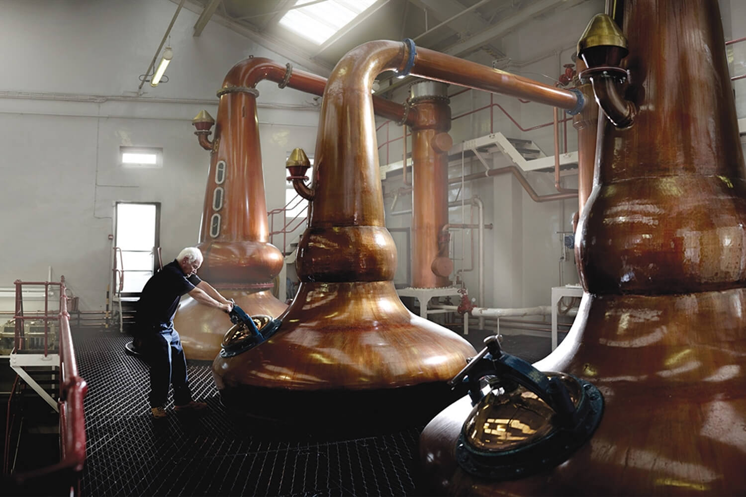 Nhà máy chưng cất whisky Glengoyne sử dụng nồi chưng cất cổ cao