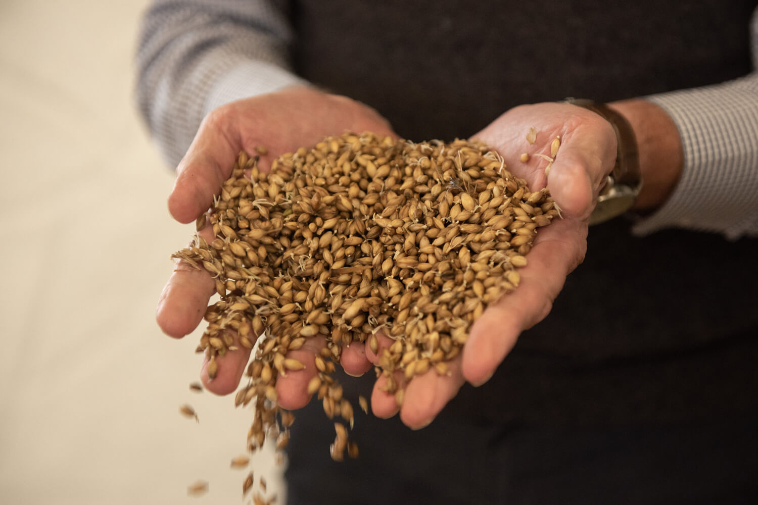 Nghệ Thuật “Malting” Tại Nhà Máy Kilchoman