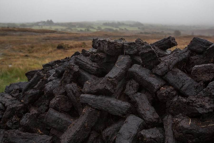 Peat (than bùn) là lớp thực vật phân hủy tự nhiên được dùng làm nhiên liệu để sấy khô mạch nha trong quá trình sản xuất whisky