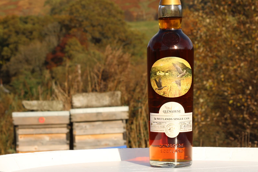 Glengoyne Wetlands Single Cask Release là phiên bản giới hạn chỉ 500 chai