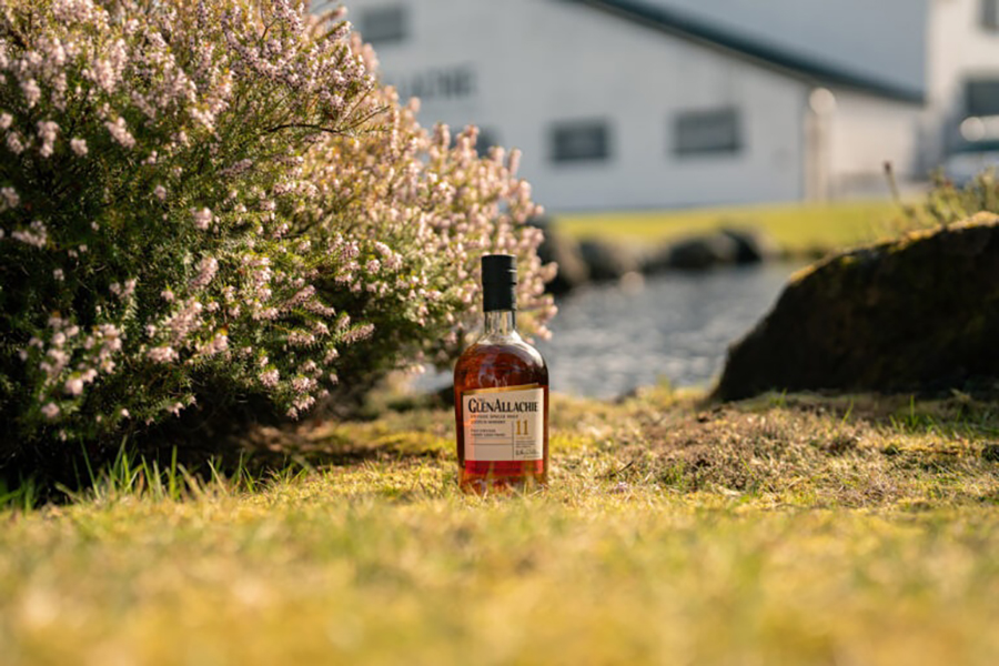 Phiên bản GlenAllachie 11 YO có cấu trúc hương vị với nhiều lớp như: trái mận chín, mocha đậm, gia vị ấm với những điểm nhấn nhẹ nhàng, tinh tế nhưng không hề mất đi chiều sâu.